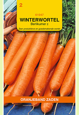 Winterwortelen Berlikumer 4