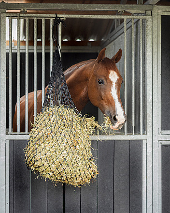 Q-essentials hooinet hay bale