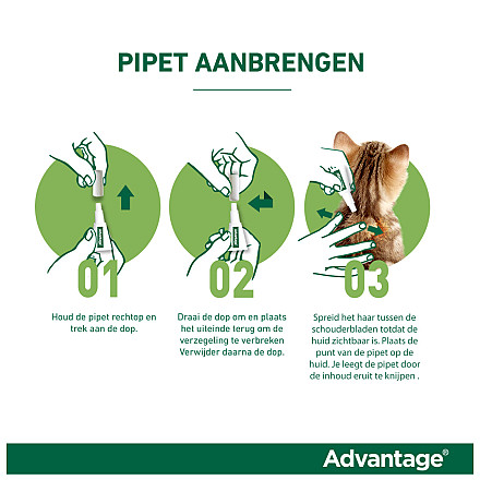 Advantage kat 40 <br>4 pipetten