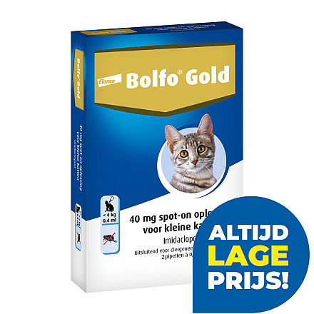 Bolfo Gold kat 40 <br>2 pipetten